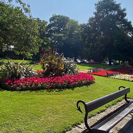 Springfieldharrogate هاروغايت
