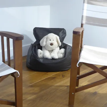 Springfieldharrogate *