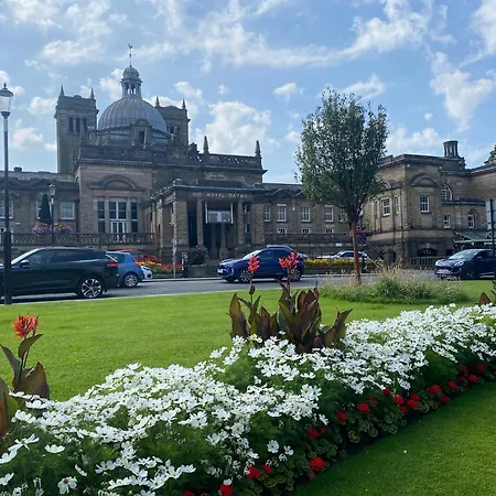 Springfieldharrogate *