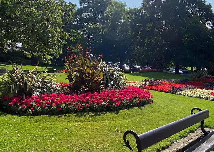 Springfieldharrogate Harrogate