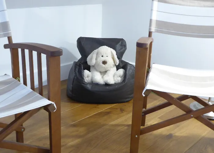 Springfieldharrogate *