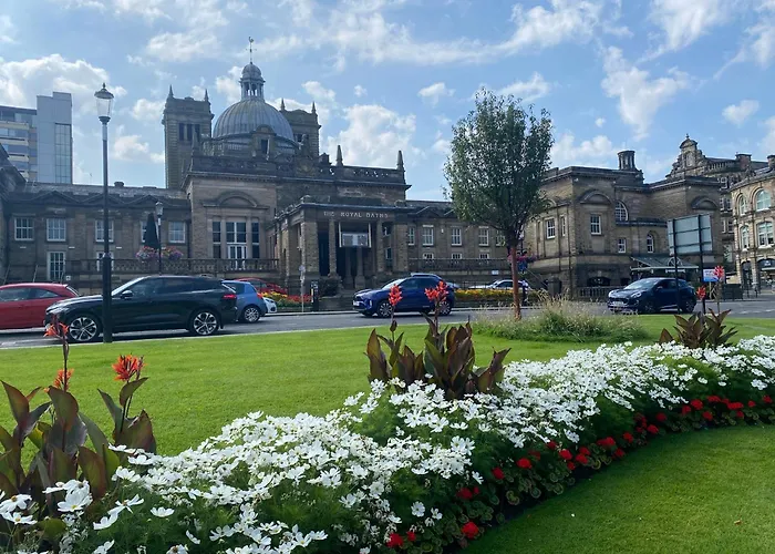 Springfieldharrogate *